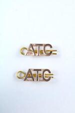 RAF ATC AIR TRAINING CORP MILITARY WO OFFICER COLLAR LAPEL BADGE PAIR TITLES