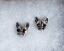 Claire's French Bulldog Stud