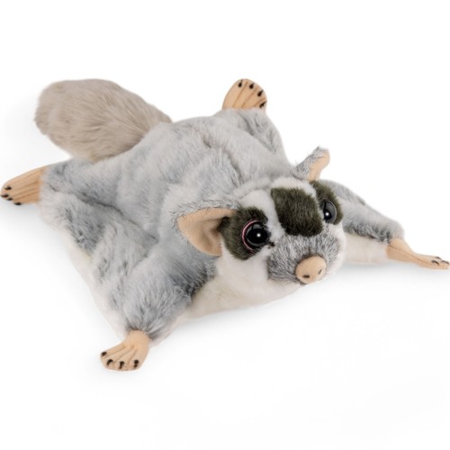 Flying squirrel sliding - flying, squirrel,