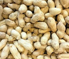 PEANUTS IN SHELL, MONKEY NUTS, WILD BIRD & SQUIRREL FOOD, TREAT  1KG