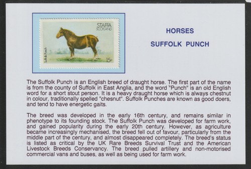 Staffa 1977 horses suffolk - horses,