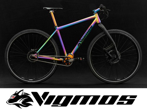 29er pinion bicycle - bicycle, titanium