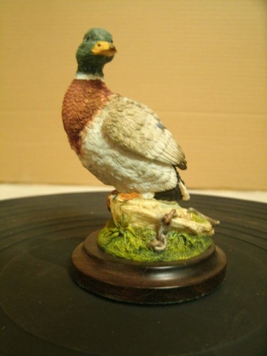 Country artists mallard duck - mallard,