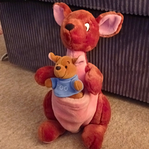 Disney winnie the pooh - winnie,