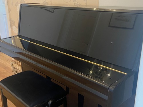 Black polished upright - black,