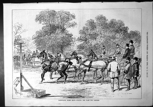 Old print barnstaple horse - old,