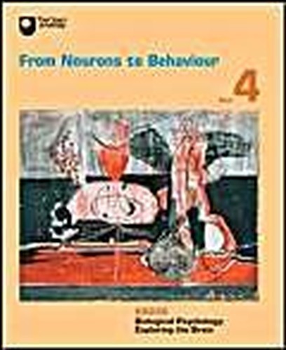 From neurons behaviour - to,