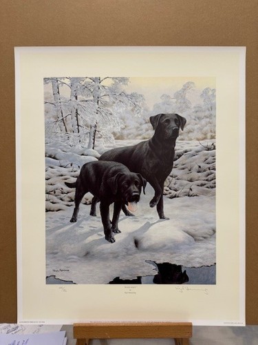 Nigel hemming black - black, magic