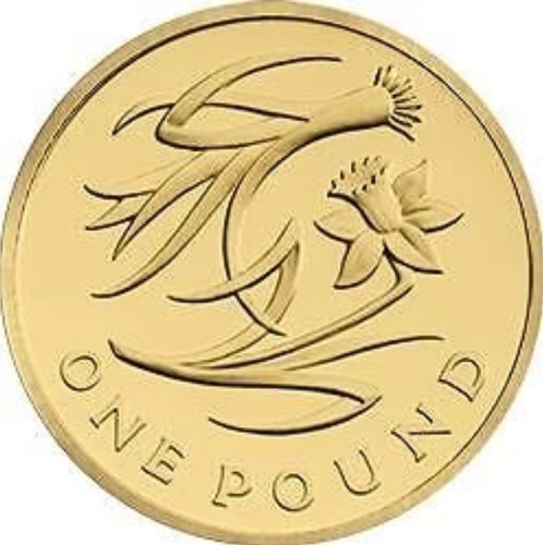 Coin hunt british round 1 - round, £1