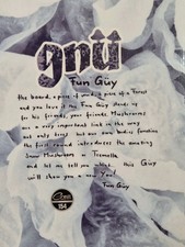 Gnu Fun Guy Snowboard 154cm - Rare all mountain powder  - volume shifted