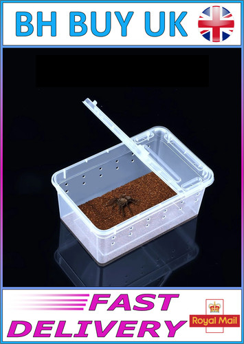 Filp lid mini - mini, terrarium