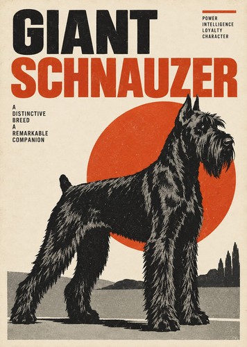 Giant schnauzer dog print - schnauzer,