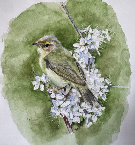 Water colour painting - painting, of