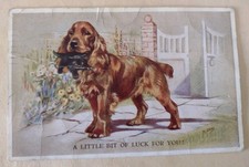 Mabel Gear Dog Postcard, Red