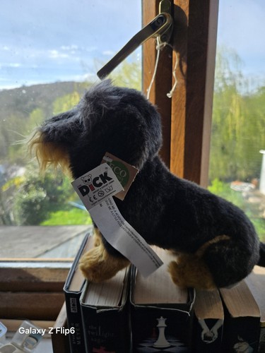 Carl dick wirehaired dachshund - carl,
