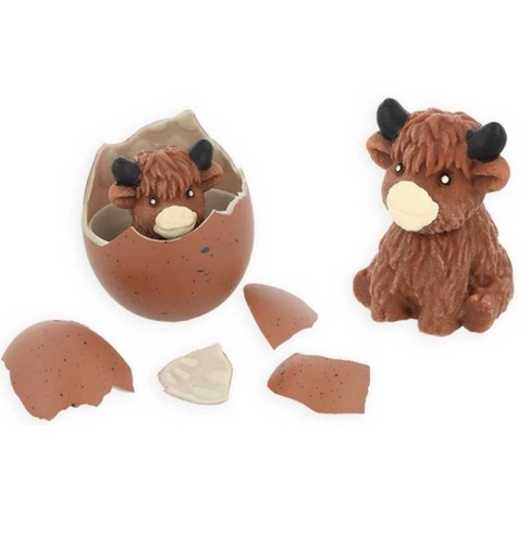 One hatching highland cow - hatching,