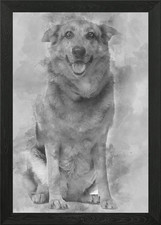 Cross breed dog 1 year old