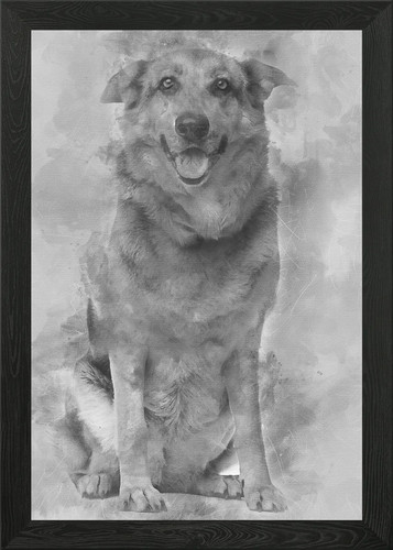 Cross breed dog year old - cross,