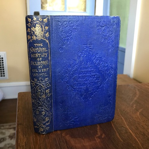 1853 white natural - 1853, history