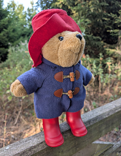 Paddington bear plush - paddington,