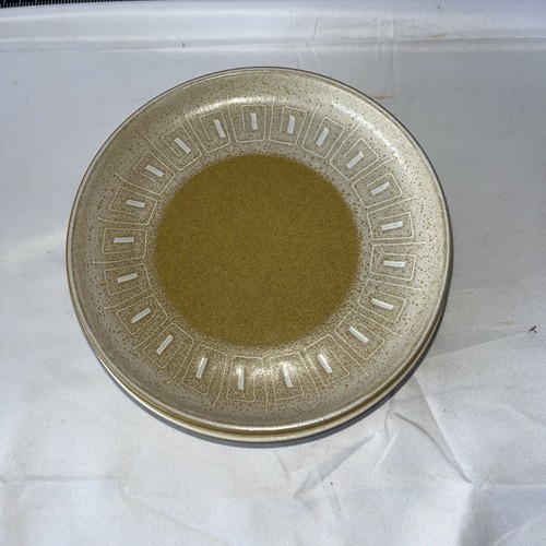 Denby ode dinner plates - 6.5”,