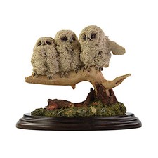 Country Artists Birds, Baby