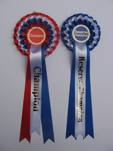 Champion and reserve - ,