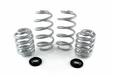 Eibach Lift Springs + 35mm VW