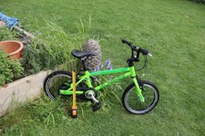 Isla Bike Cnoc 14 Good