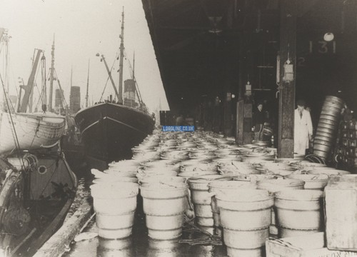 Hull memory lane - memory, trawlers