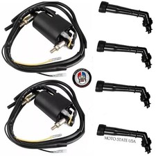 2x Ignition Coil + Spark Plug