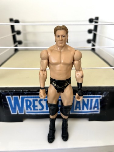Wwe william regal - william, wrestling