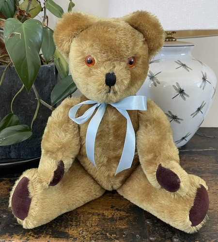 Antique vintage pedigree - antique,