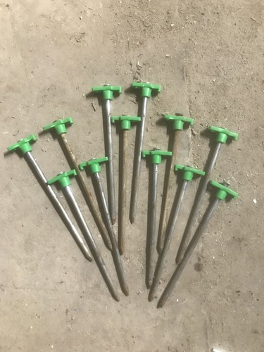 Groundhog tent pegs - groundhog,