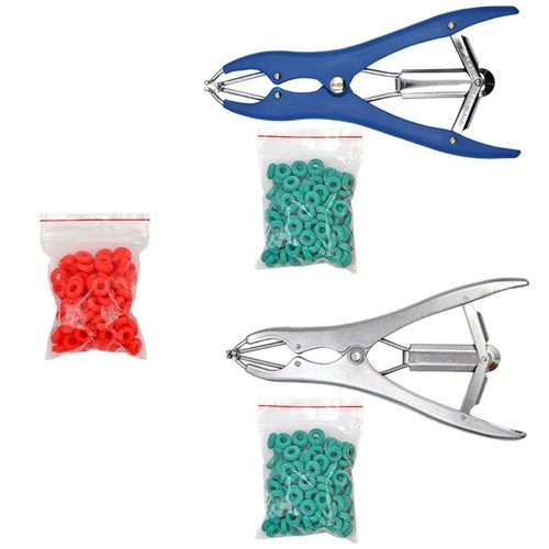 Animal castration gripper - castration,