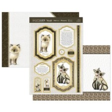 Hunkydory Birman & Siamese Cat