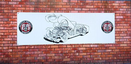 Austin healey frogeye - ,