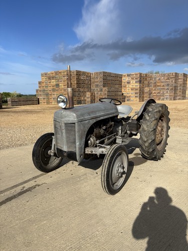 Grey ferguson diesel - grey, tef20