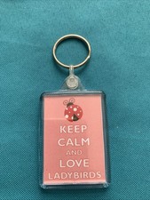 Keep Calm And Love Ladybird Keyring