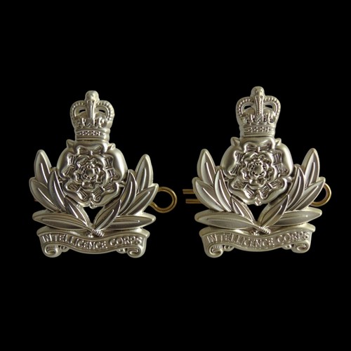 Intelligence corps officers - corps,