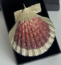 Gold Toned Edge Real Scallop Shell Pendant | Natural Seashell Jewelry