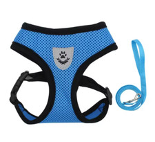 Small Dog Harness and Leash