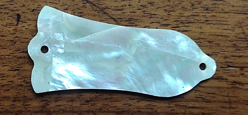 Truss rod cover for - , les