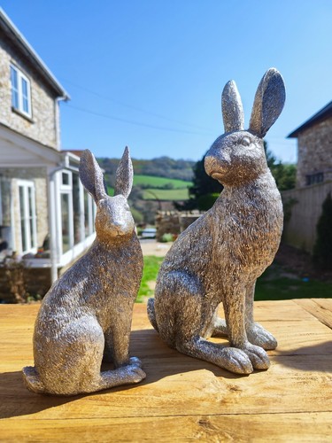 Pair sparkly silver - sparkly, hare