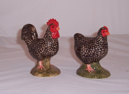 Quail maran hen cockerel - quail,