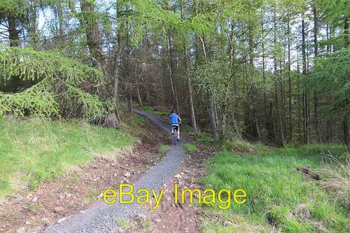 Photo 6x4 mountain bike trail - mountain,