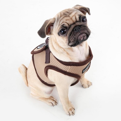 Puppia air mesh soft - puppia,
