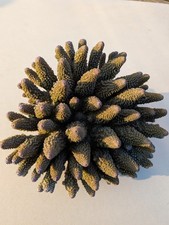  Heavy Faux Coral  Resin / Rubber Aquarium Ornament. Substantial quality