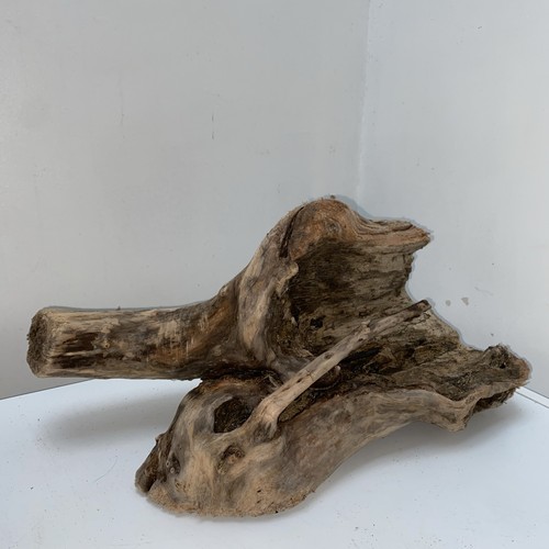 Large driftwood piece ideal - driftwood,