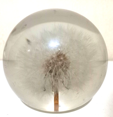 Hafod grange dandelion - grange, clock